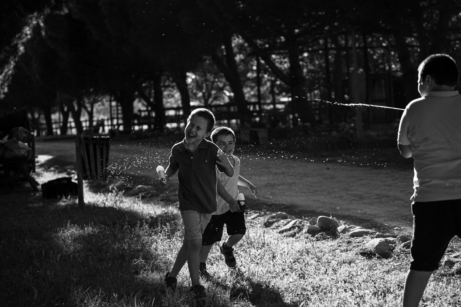 Foto Sessões de família Joana Veríssimo & Pedro Sousa Foto Sessões de família Joana Veríssimo & Pedro Sousa - Imagem 51