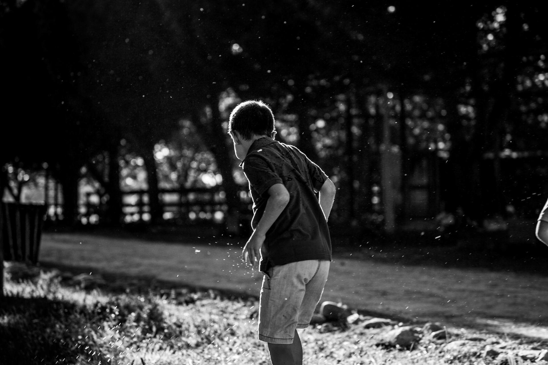Foto Sessões de família Joana Veríssimo & Pedro Sousa Foto Sessões de família Joana Veríssimo & Pedro Sousa - Imagem 65
