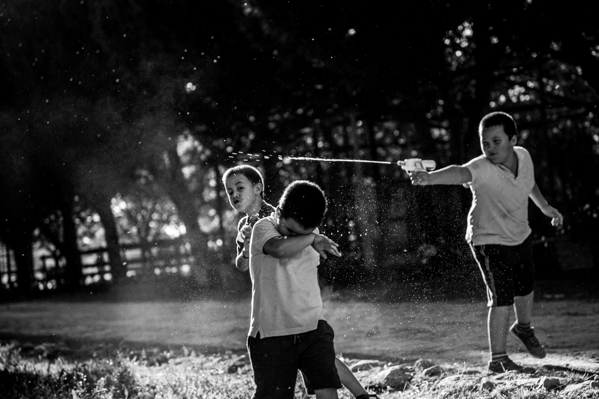 Foto Sessões de família Joana Veríssimo & Pedro Sousa Foto Sessões de família Joana Veríssimo & Pedro Sousa - Imagem 70