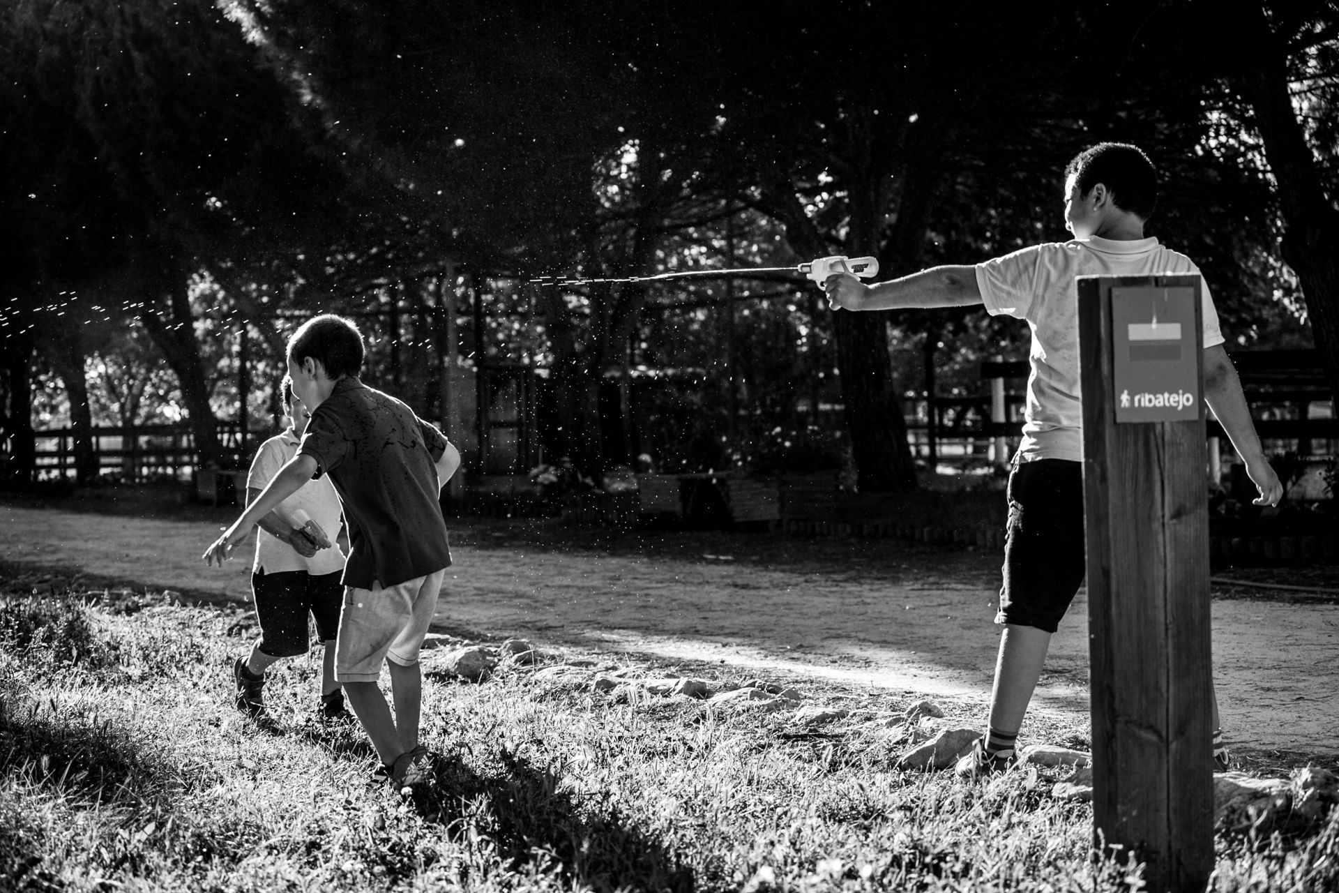 Foto Sessões de família Joana Veríssimo & Pedro Sousa Foto Sessões de família Joana Veríssimo & Pedro Sousa - Imagem 59