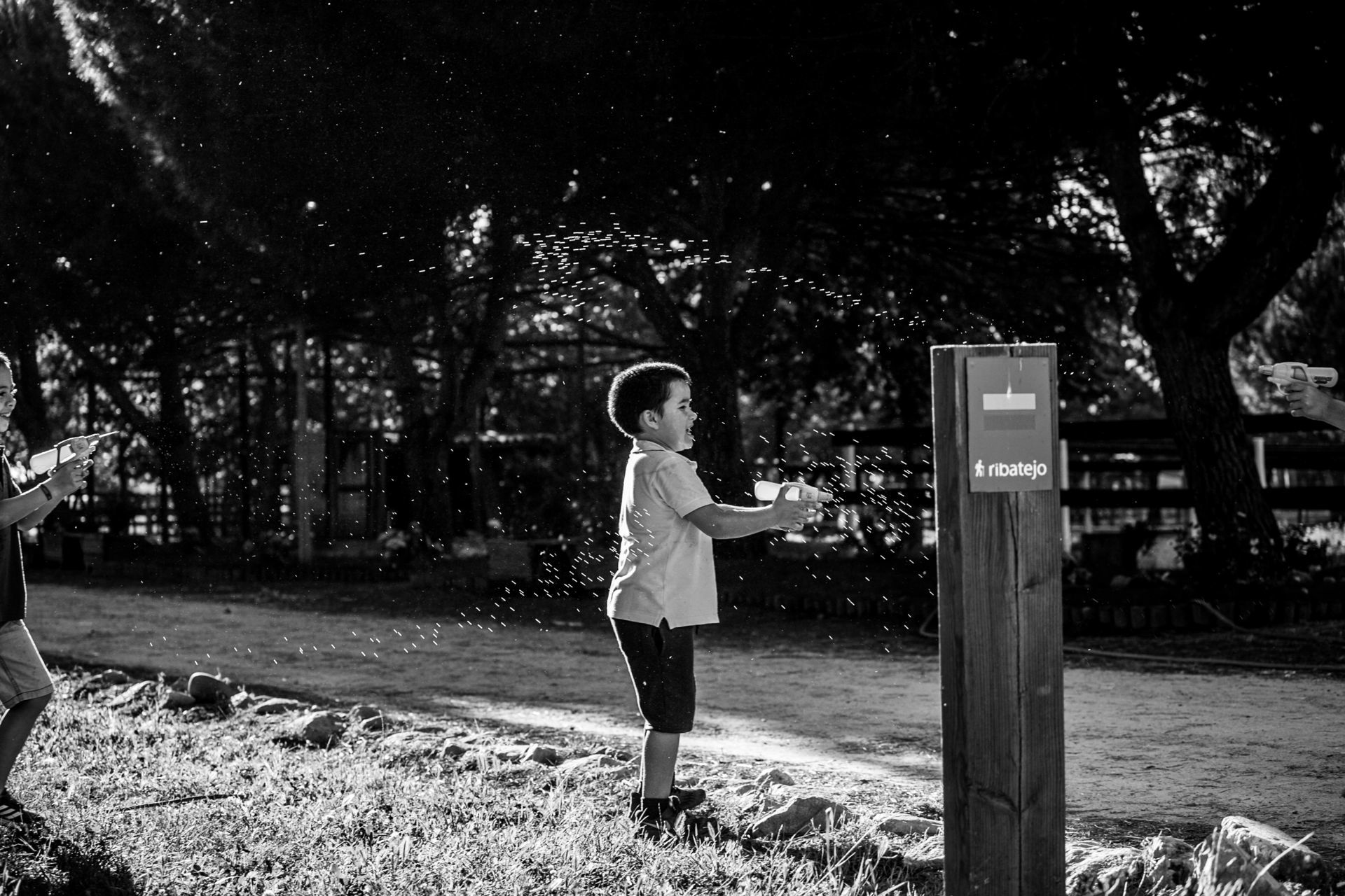 Foto Sessões de família Joana Veríssimo & Pedro Sousa Foto Sessões de família Joana Veríssimo & Pedro Sousa - Imagem 64