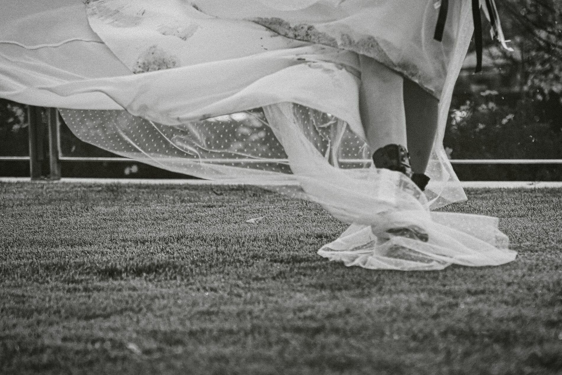 Foto Filipa&Ricardo Foto Filipa&Ricardo - Imagem 48