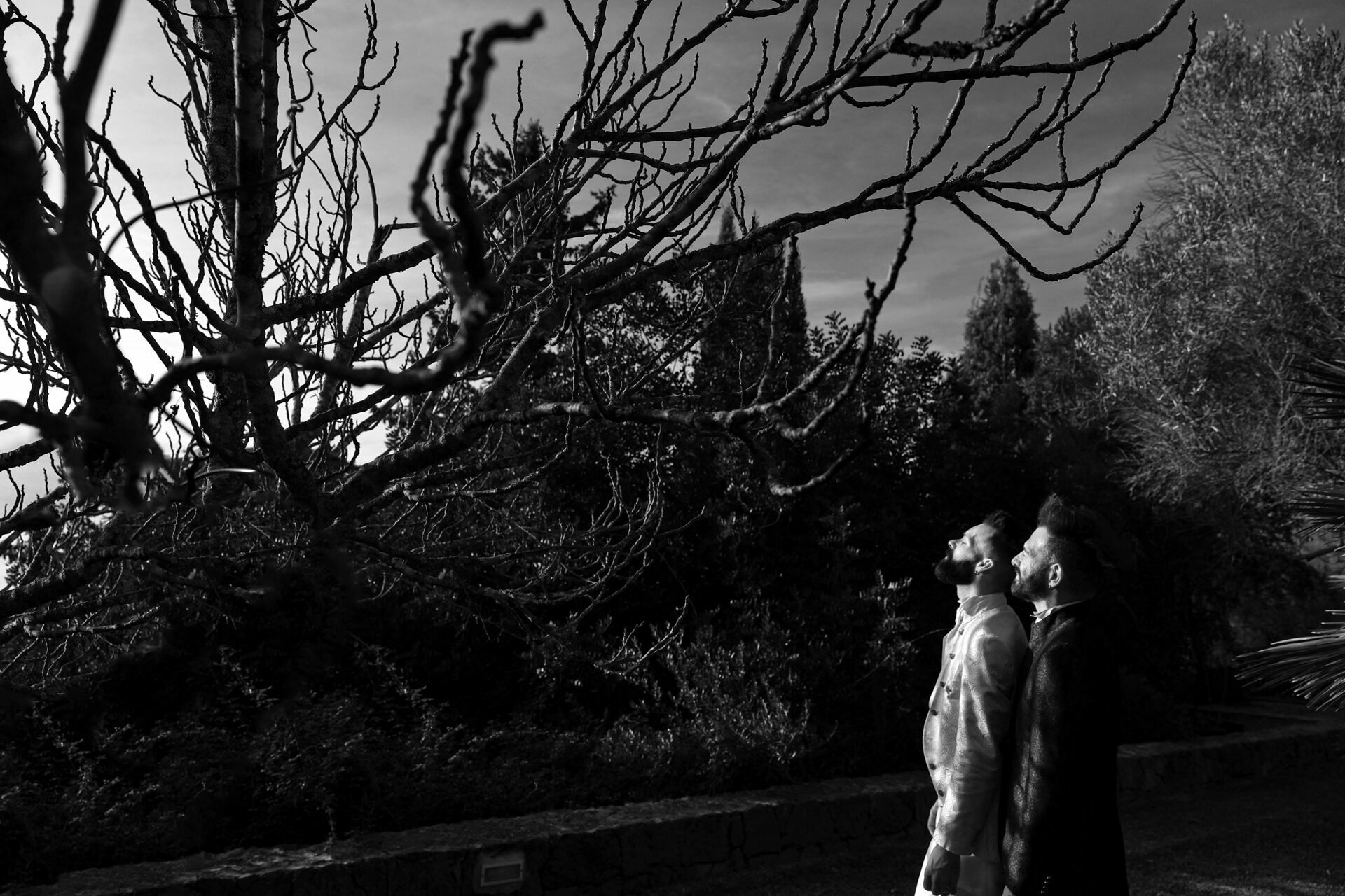 Foto Casamento Pedro&Marco Foto Casamento Pedro&Marco - Imagem 96
