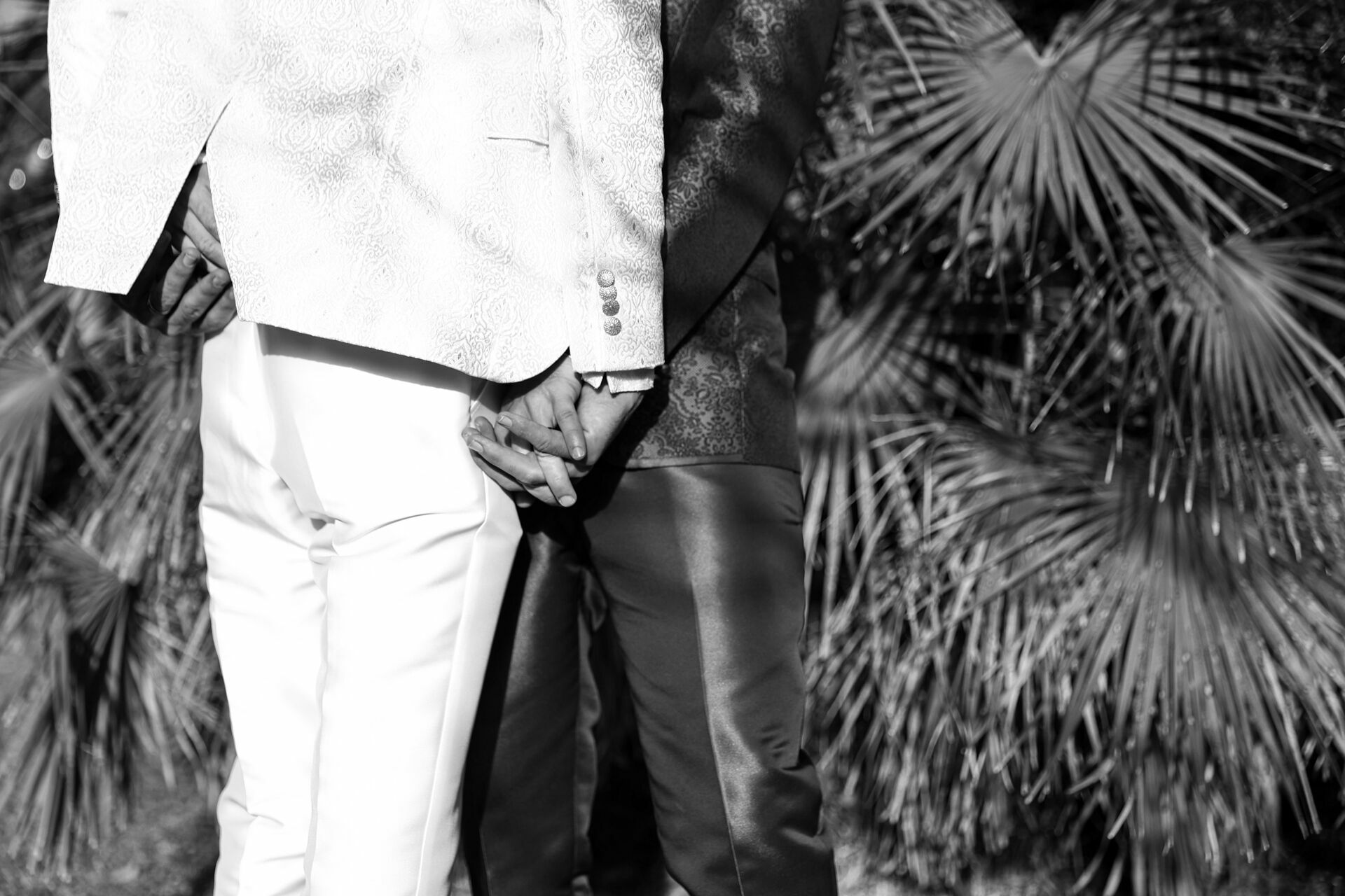 Foto Casamento Pedro&Marco Foto Casamento Pedro&Marco - Imagem 94