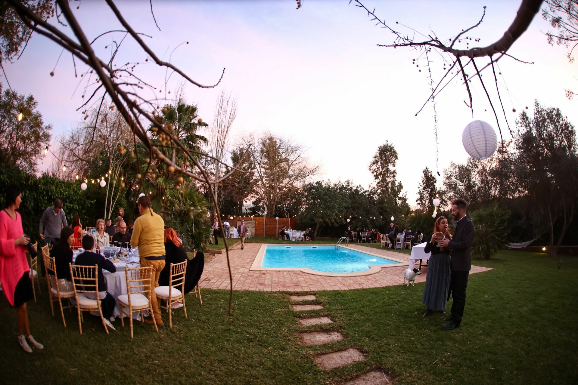 Foto Casamento Pedro&Marco Foto Casamento Pedro&Marco - Imagem 115